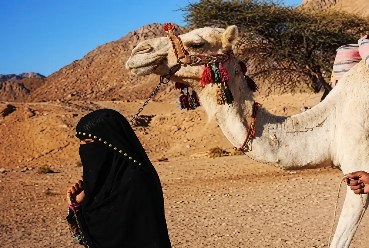 The Ultimate Red Sea Desert Odyssey: Super Safari & Bedouin Culture